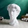 Figure Kashpo "Bust of David" 18x16x26cm