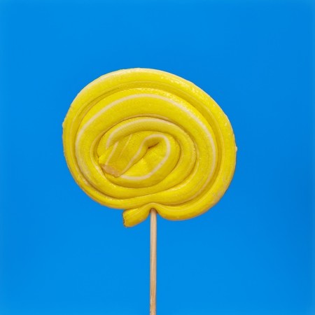 Caramel on a stick "Chakmak. Shell" Fruit taste, 20 g-7
