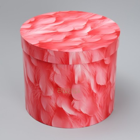 Set of hats 5 in 1, gift packaging, “feathers”, 13 x 14 - 19.5 x 22 cm-4