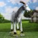 Garden figure "Small goat" 47x43x20cm