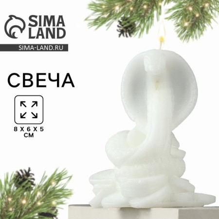 New Year 2025! Interior candle “New Year's collection: snake on coins”, white, 78 x 61 x 52