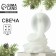New Year 2025! Interior candle “New Year's collection: snake on coins”, white, 78 x 61 x 52