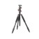 Tripod Falcon Eyes Hangman 165 BH1