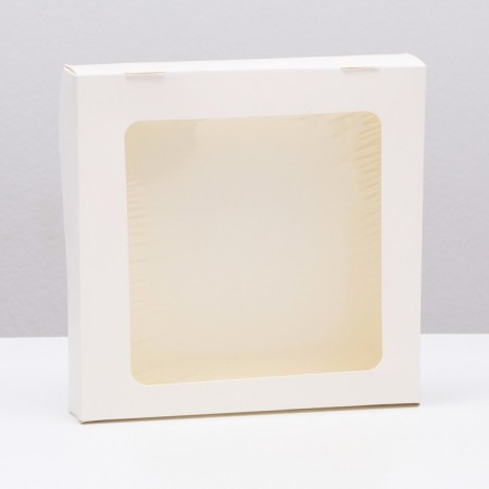 Container for removal, with a window, white, mix, 20 x 20 x 4 cm-1