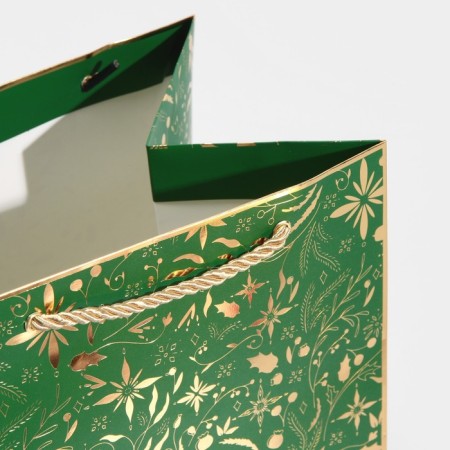 Laminated package “I want to a fairy tale”, 23 x 35 x 20 cm, new year-4