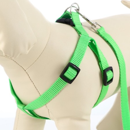 Set "Basis", leash 120 x 1.5 cm, OG 32-46 cm, green-6