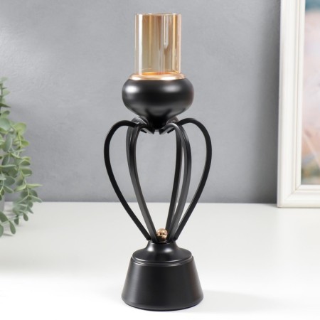 Summary Metal for 1 candle "Physalis" black 31x9x9 cm-1