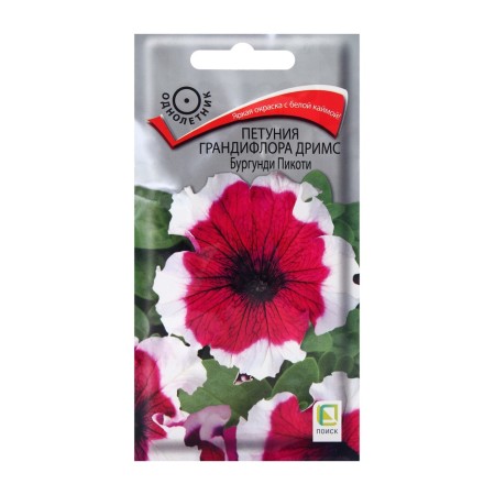 Grandiflora flowers Dreams Burgundy Pikoti, 15pcs Petunia