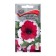 Grandiflora flowers Dreams Burgundy Pikoti, 15pcs Petunia