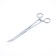 Clamp = cornzang fishing namazu, l = 220 mm, curved, stainless steel