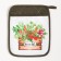 Gift Green Life Set Take-Carman, Toward, Bubble