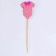 Skewers "Gender Party", in a set of 6 pieces, pink