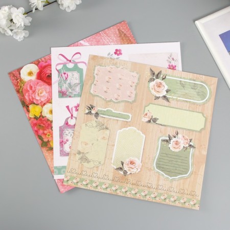 Scrapbooking paper 30x30 cm "Shebbi-Shik", bilateral, 12 sheets, 12 designs-1
