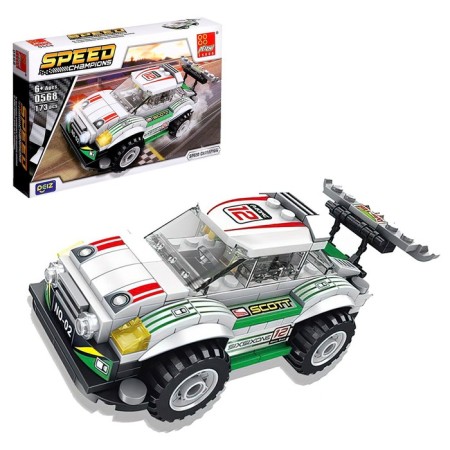 Designer Race "Carry", 173 details