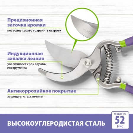 Planning coater, 10 "(25.5 cm), with metal rubberized handles, Palisad-1