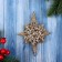 Jewelry decoration "Star Grace Glitter" 13.5x9 cm, gold