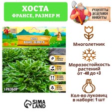 Хоста "Francee", р-р I, размер M,1 шт,