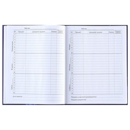 School diary, grade 1-11 in a hard cover, with embossing, 40 l, cold heart-1