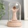 Souvenir Polystone Light "Angel-Bezliky in the flask" MIX 11x6.8x6.8 cm