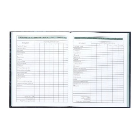 Diary for grades 5-11, 48 sheets, technoboom, integral cover, glossy lamination, print on a holographic film-10