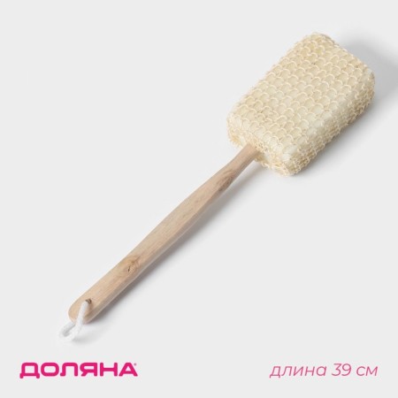 Body washcloth on the handle "Bank", 4 × 8 × 39 cm, sisal