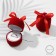 The case is velvet under the ring "Gift", 5 × 5 × 6, the color is red, the insert is white