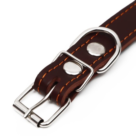 Leather collar on synthetic winterizer, decorated, 55 x 2.5 cm, Osh 35-45 cm, brown-4