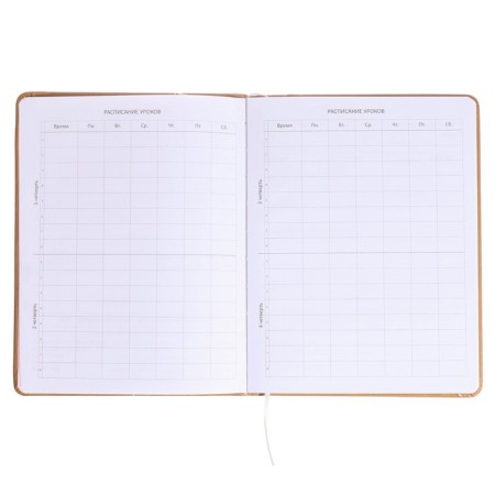 Universal diary for grades 1-11, hard cover, artificial leather, foam rubber, silkography, liesse, 80 g/m2-4