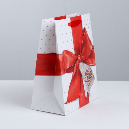 Gift Laminated Vertical, packaging, “special person”, Ml 23 x 27 x 11.5 cm-2