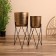 Kashpo on the stand "Brigs" metal (set 2 pcs), diameter 24 and 21 cm