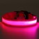 Collar with backlight size M, Osh 40-48 x 2.5 cm, 3 glow modes Pink