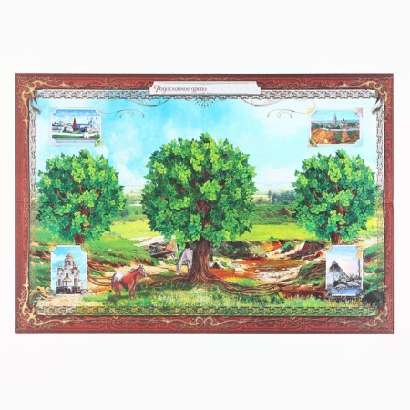 Родословная книга с НГ пояском «Дед мороз», 16,5 х 24 см.-2