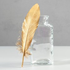 A set of goose feathers 15-20 cm, 10 pcs, golden