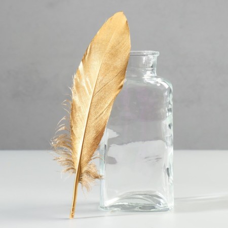 A set of goose feathers 15-20 cm, 10 pcs, golden