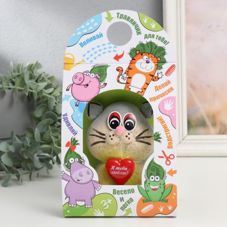 Growing gift grass "Cat gray" mix-4