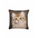 Decorative pillow on the sofa "Cat", size 40x40 cm