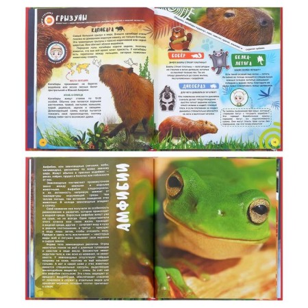 4D encyclopedia in augmented reality "Animal World"-16