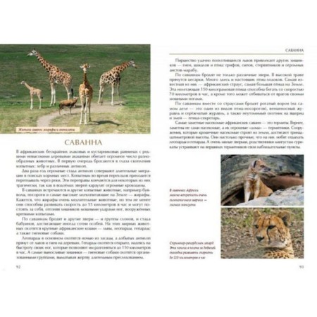 Ecology is interesting. Babenko V.-3