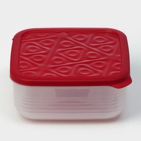 The container is plastic with the lid Flexo, 2.7 l, the color is red-8