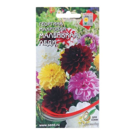 Bells of Georgina Tensor "Little Lady", 10 pcs