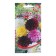 Bells of Georgina Tensor "Little Lady", 10 pcs