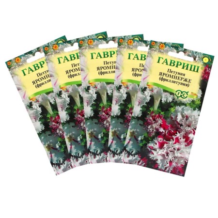 Flowers of Petunia "Yarromnerez", oh, test tube, set 5 pcs