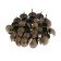 Decorative nails, 19x22 mm, color of bronze, in packaging 50 pcs