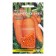 Semen carrots "Chantene 2461" Simple dragee, 300 pcs