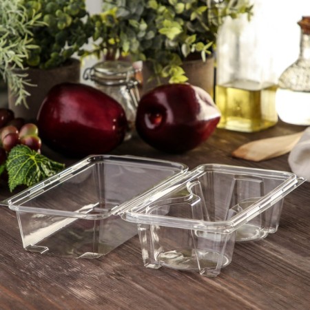 The plastic disposable container with an insoluble lid pr-pk62s2, 2 muffins, 18.8 × 13.8 cm, 200 pcs/un-1