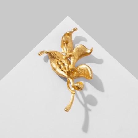 Brooch "Leaves", the color of the rainbow red in matte gold-1
