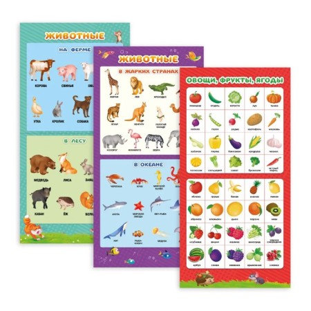 Collection of teaching posters "My first posters", 29 × 29 cm-2