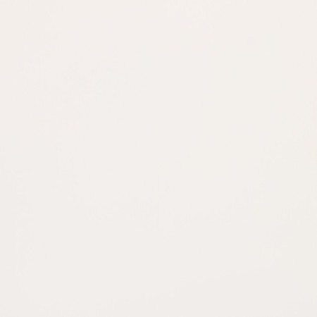 Flower film, matte, white, 57 cm x 10 m-1