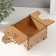 Combined box "tree" 10.5x10x7 cm