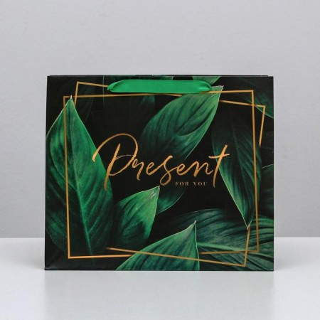 Gift Laminated Horizontal Package, Packaging, Present for You, ML 27 x 23 x 11.5 cm-1
